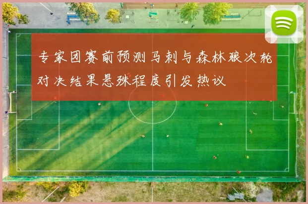 专家团赛前预测马刺与森林狼次轮对决结果悬殊程度引发热议
