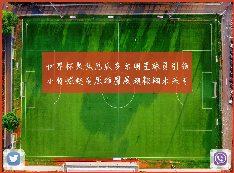 世界杯聚焦厄瓜多尔明星球员引领小将崛起高原雄鹰展翅翱翔未来可期