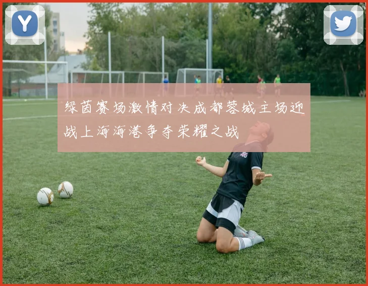 绿茵赛场激情对决成都蓉城主场迎战上海海港争夺荣耀之战