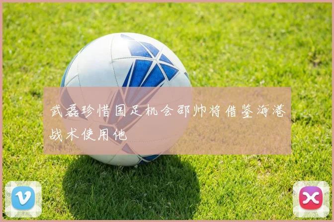 武磊珍惜国足机会邵帅将借鉴海港战术使用他